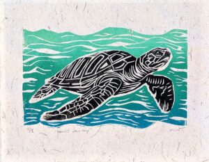 turtle